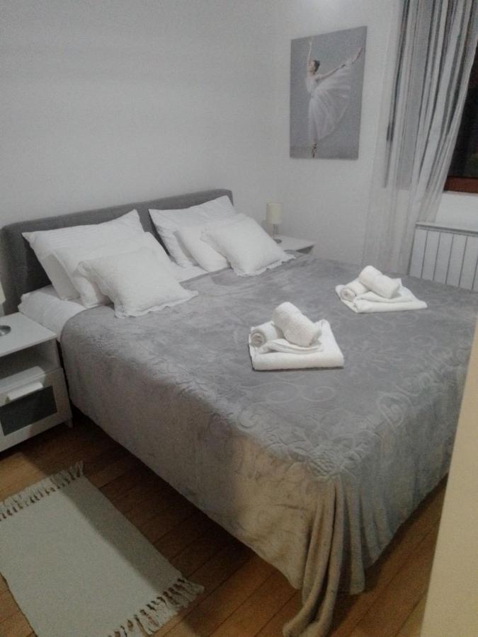 Nektar 88 Apartment Vrnjačka Banja Екстериор снимка