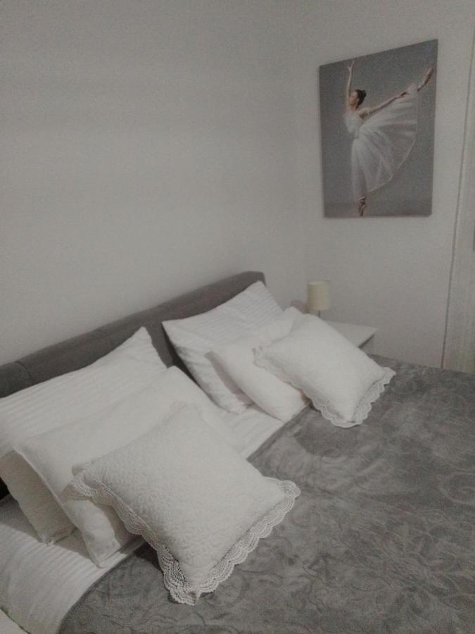 Nektar 88 Apartment Vrnjačka Banja Екстериор снимка