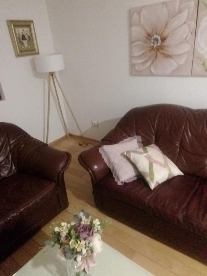 Nektar 88 Apartment Vrnjačka Banja Екстериор снимка