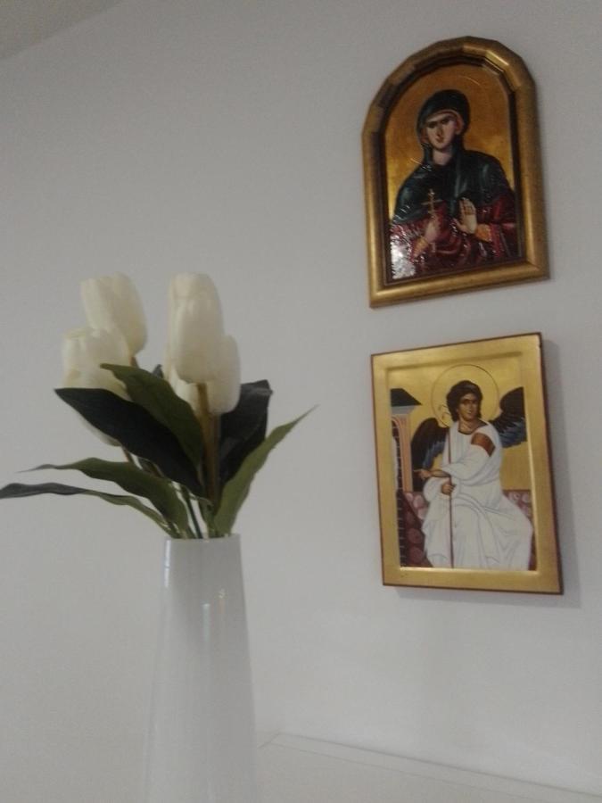 Nektar 88 Apartment Vrnjačka Banja Екстериор снимка