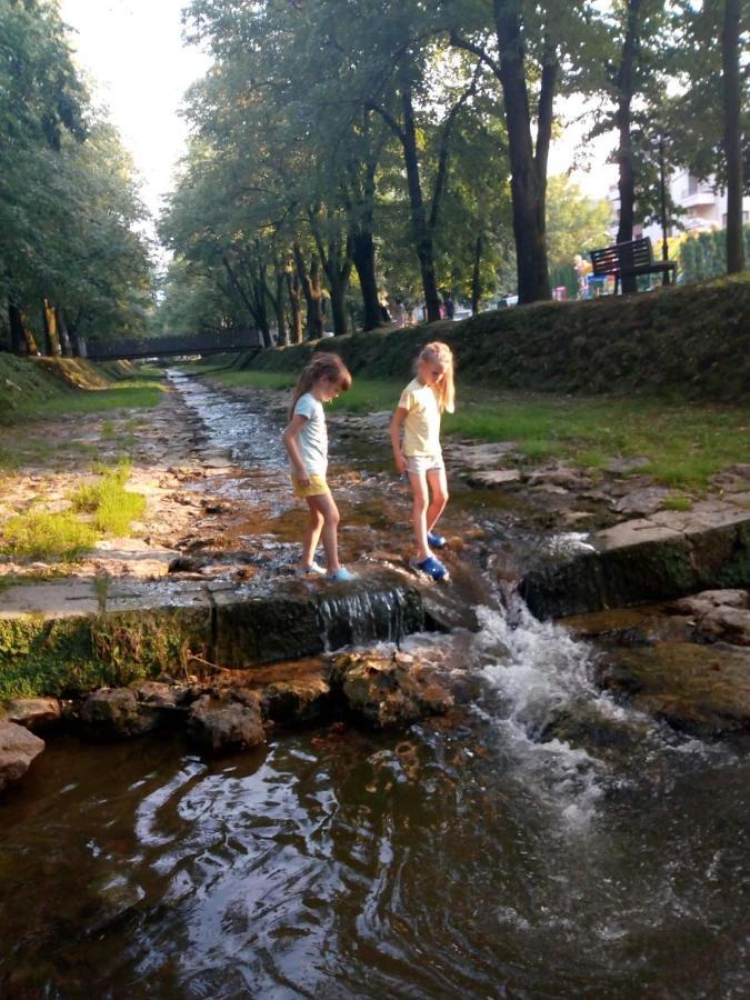 Nektar 88 Apartment Vrnjačka Banja Екстериор снимка